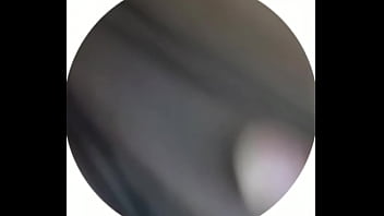 Magn&iacute_fica recopilaci&oacute_n