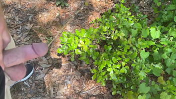 Piss in the Woods