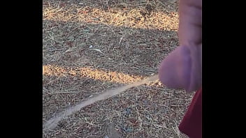 Kaso221 - outside pee