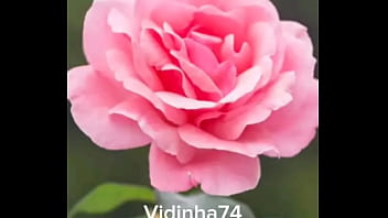 &Aacute_udio Safada
