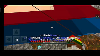 Sexo amador no Minecraft