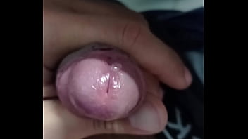 Tes&atilde_o