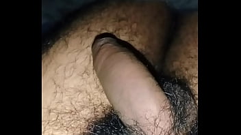 Erecci&oacute_n desde el principio