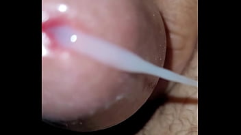 Cum Cum