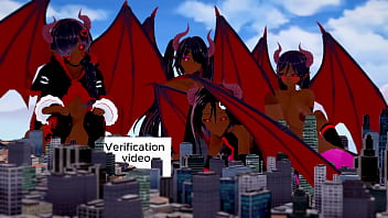 Verification video