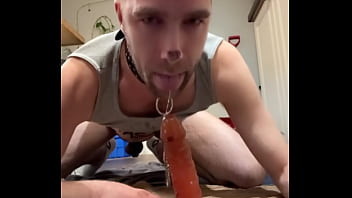 Fag dog obey Aplha
