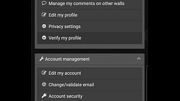 Verification video